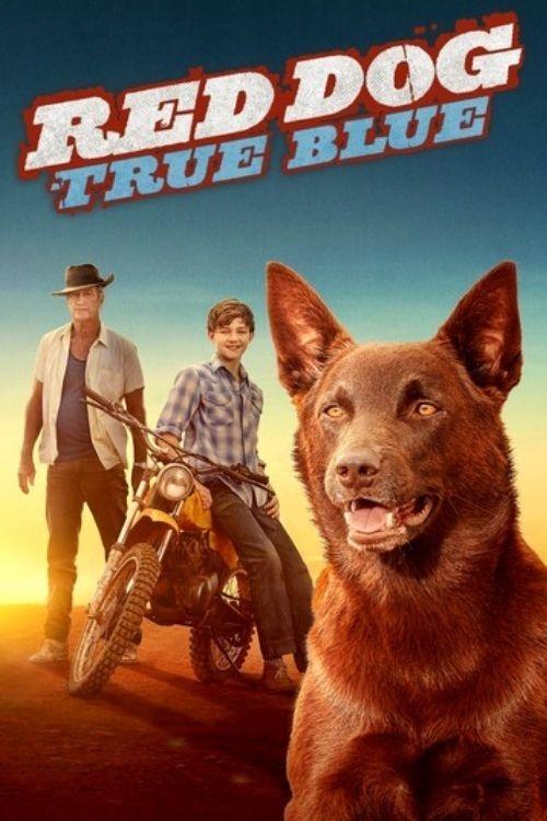 Постер Red Dog: True Blue